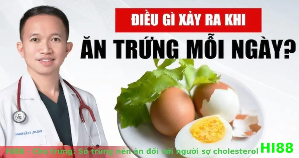 Điều gì xảy ra khi ĂN TRỨNG MỖI NGÀY?